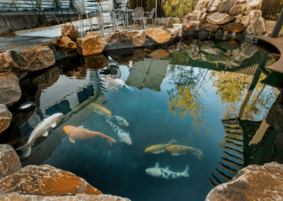 Town Pond