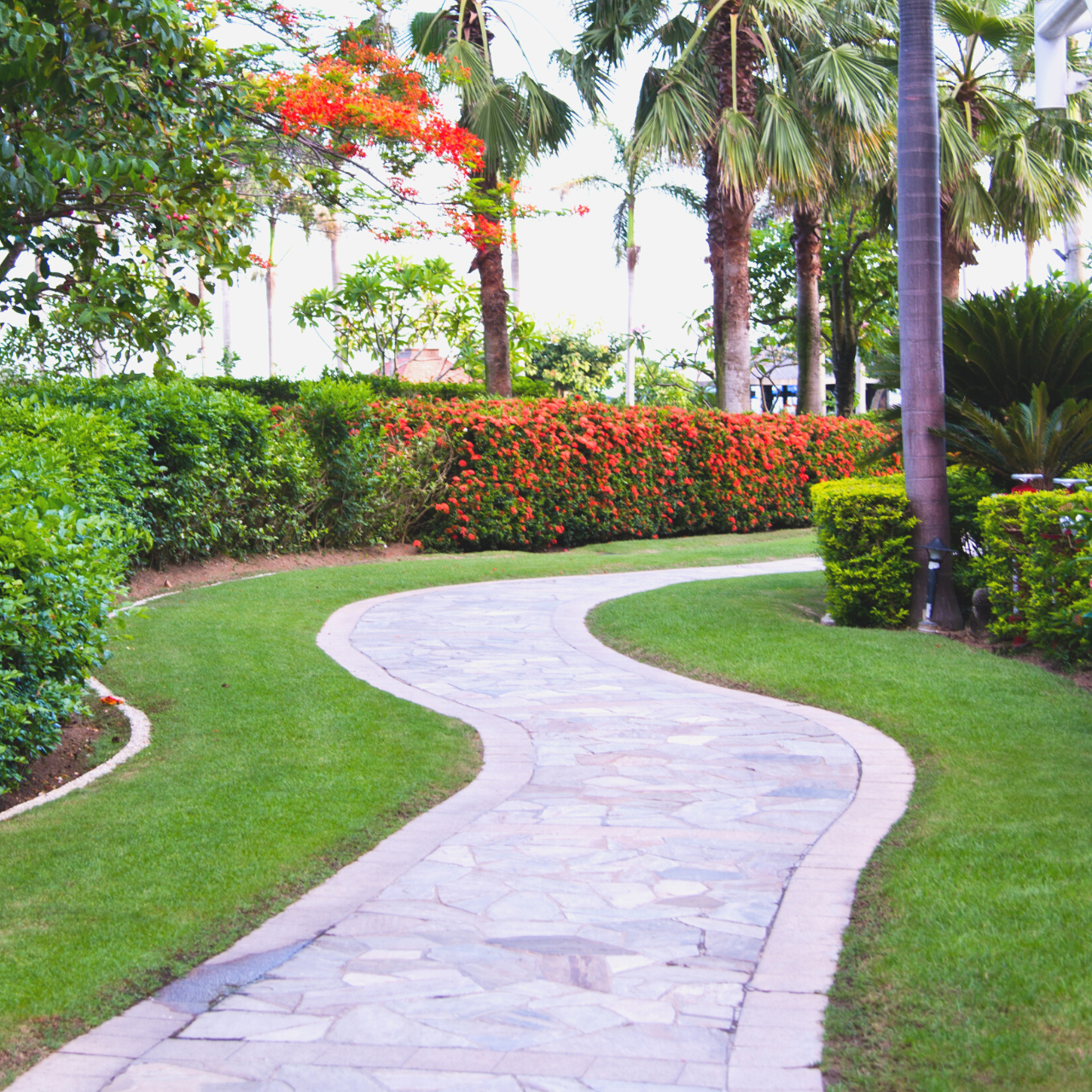 body - walkway body - walkway